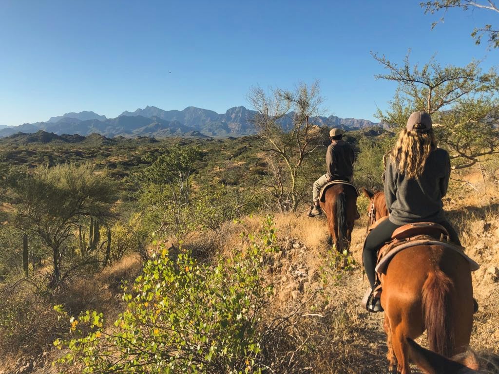 Horseback riding through the countryside; Loreto, Baja California Sur (Mexico)