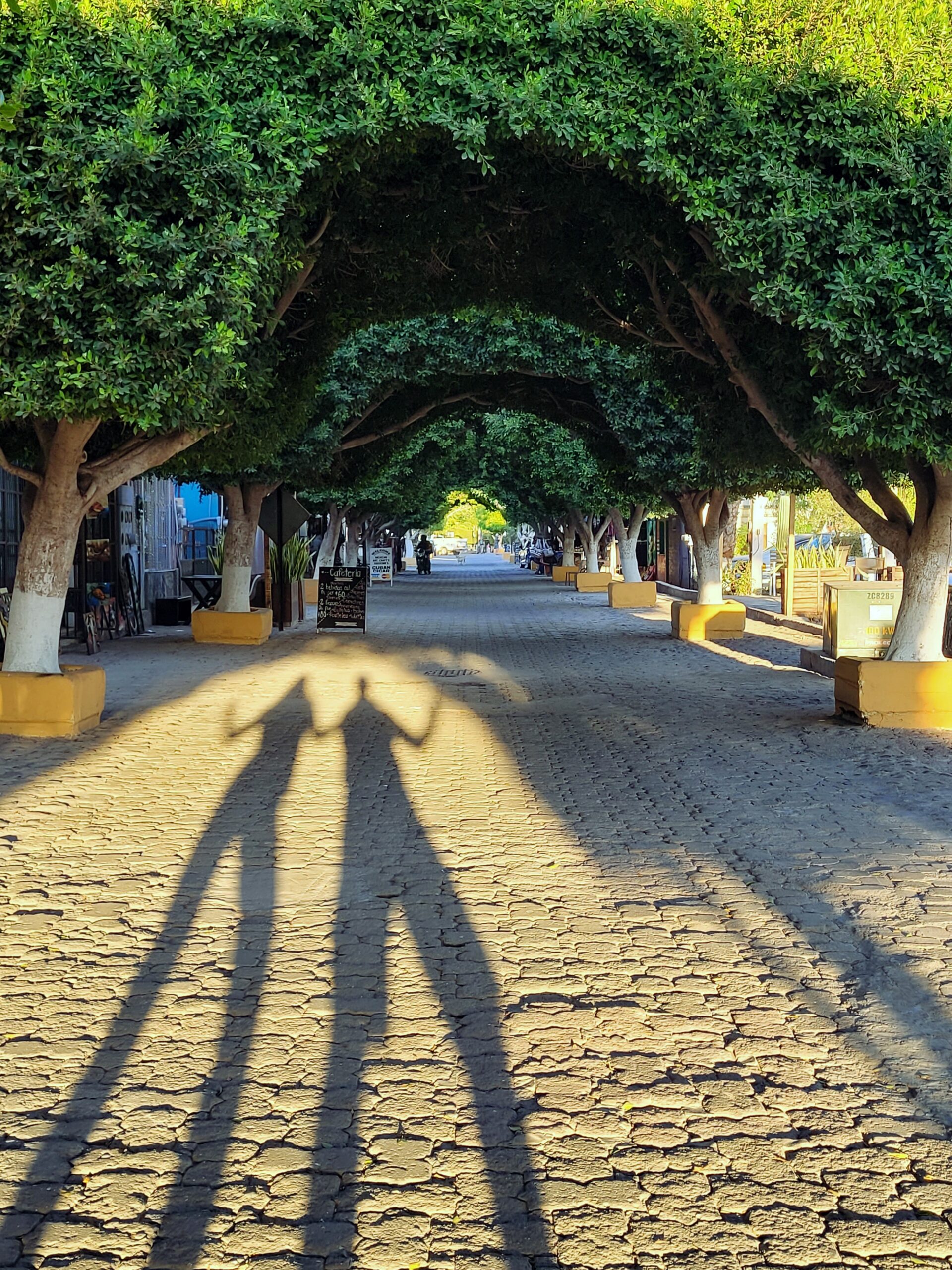 Enjoying a stroll on the town's cobblestone streets; Loreto, Baja California Sur (Mexico)