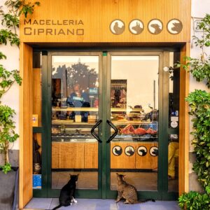 Kitties hoping for a treat; Cefalu, Sicily