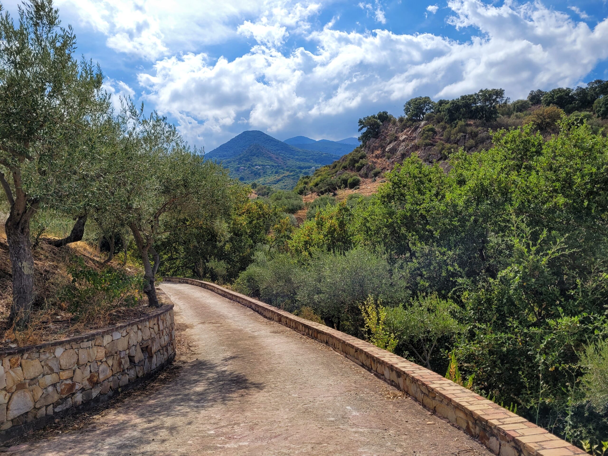 Bergi's organic farm; Castelbuono, Sicily (Italy)