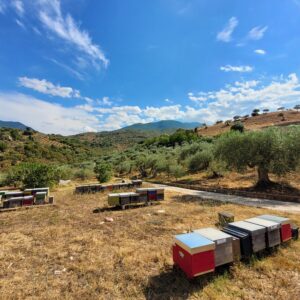 Bergi's organic farm; Castelbuono