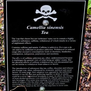 Caffeine is addictive!?; Blarney Castle