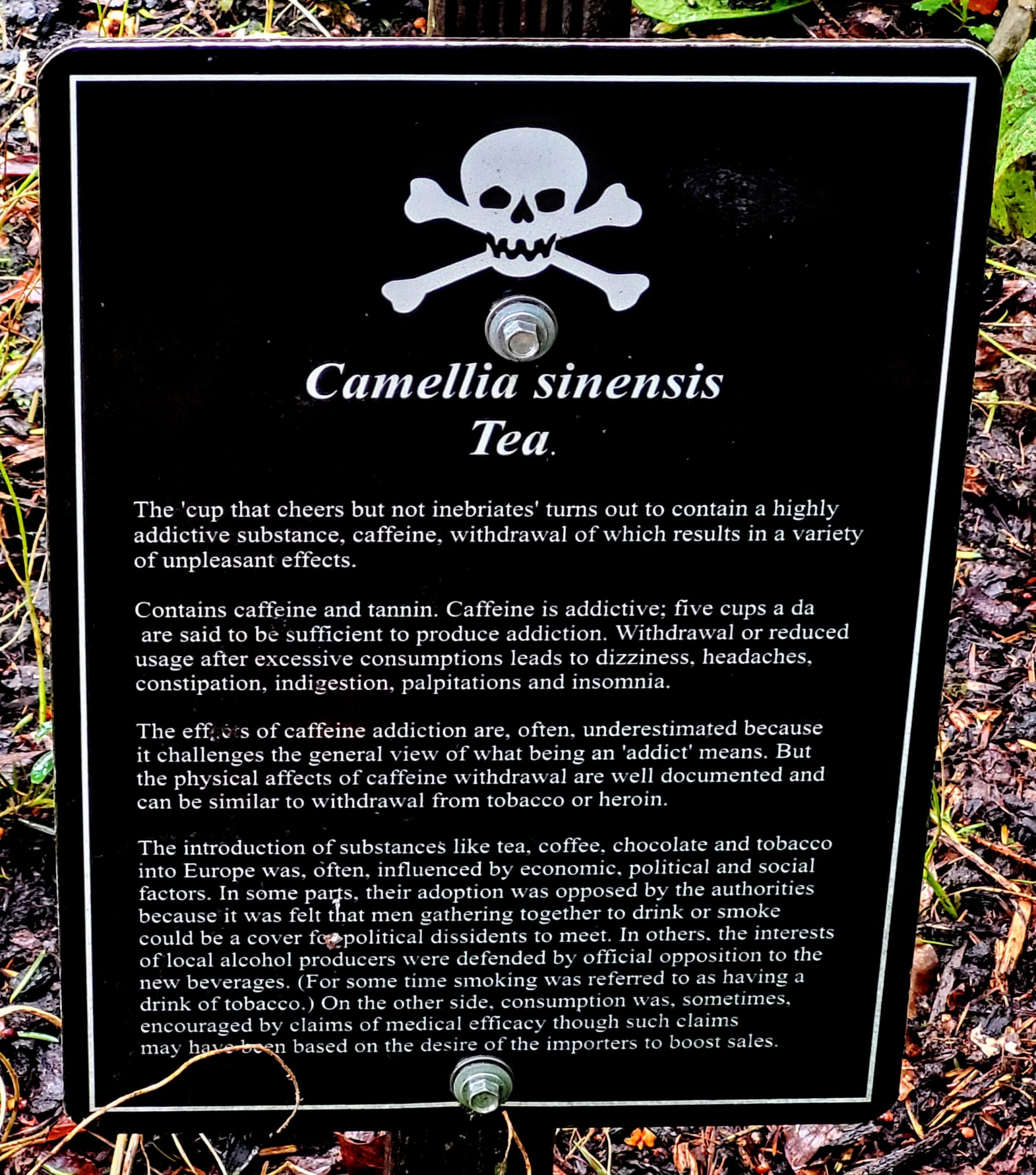 Shocking news: Caffeine is addictive. Sorry tea drinkers; Poison Garden @ Blarney Castle & Gardens (Ireland)