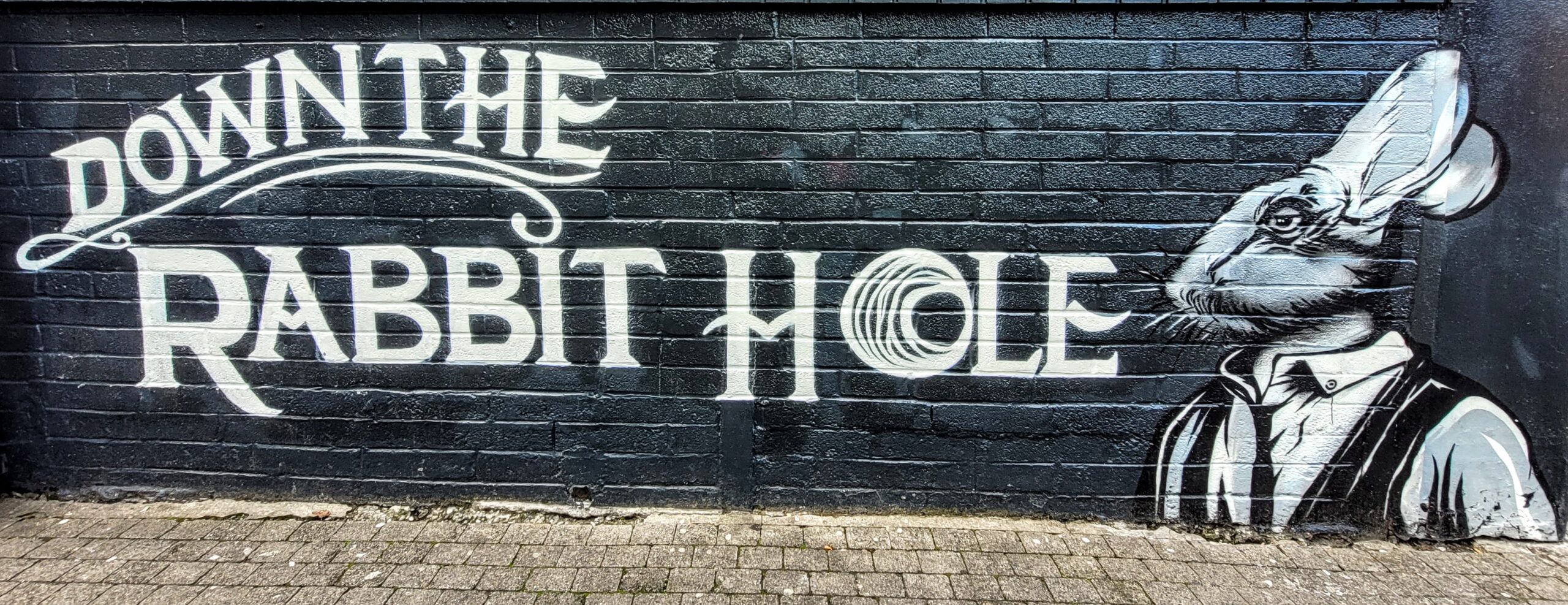 If you could go down a 'rabbit hole', what would you want to see and what would you fear the most? @ The Black Rabbit; Limerick, Ireland