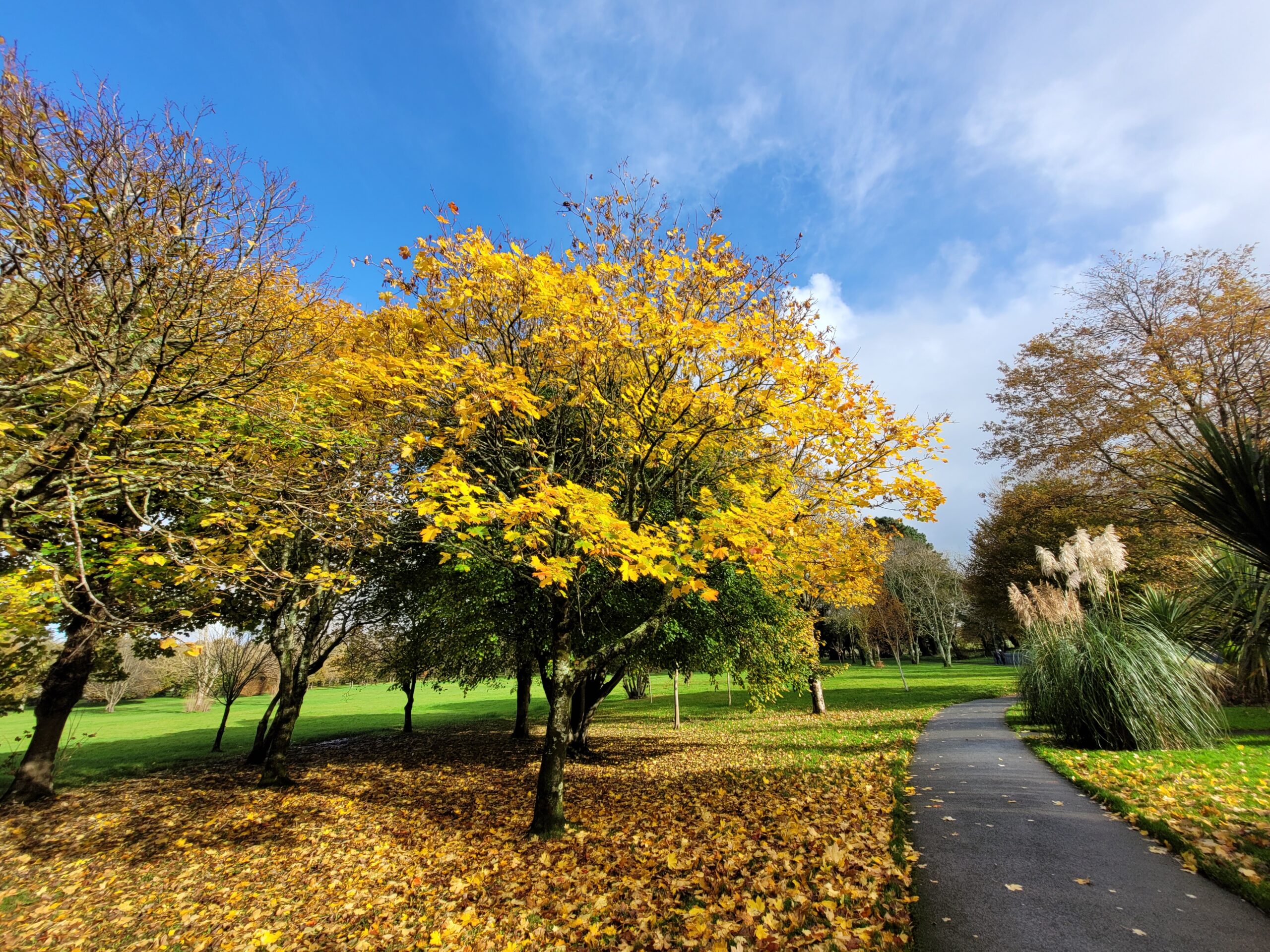 'Park of Tralee'; Tralee, Ireland