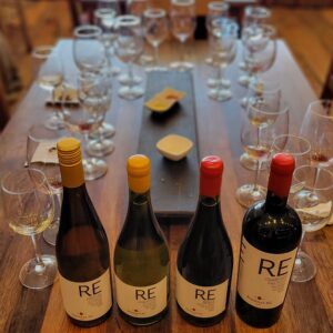 Bodegas RE vineyard; Casablanca