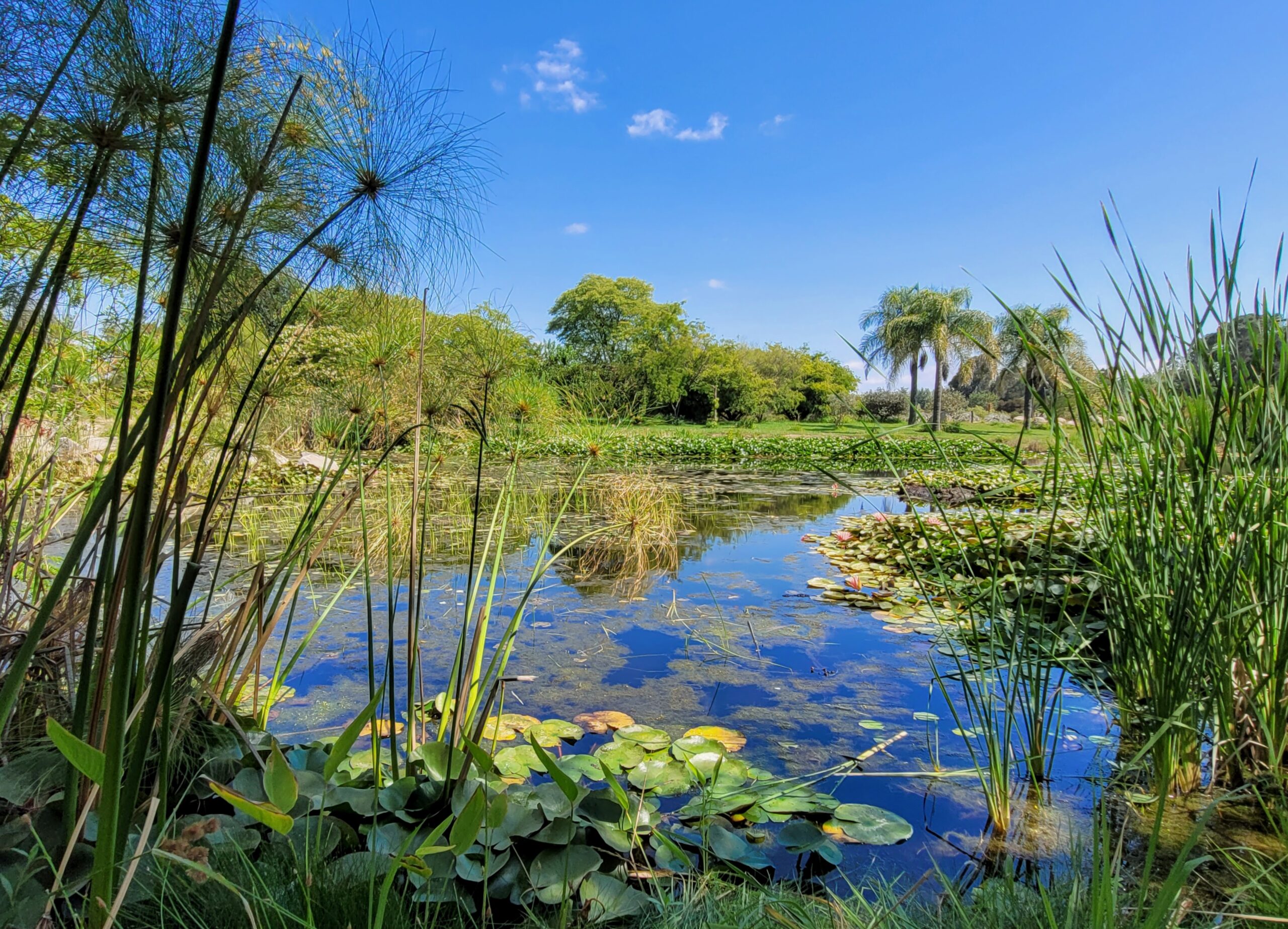 University of Talca - Botanical Garden; Talca, Chile