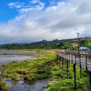 Humedal de Aves; Chiloé Island