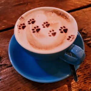 Curious Cat Café; Killarney