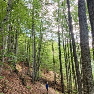 Hiking trail near Vejtse