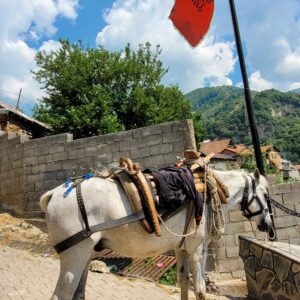 Local transportation; Vejtse