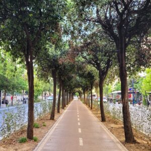Downtown bike lane; Tirana