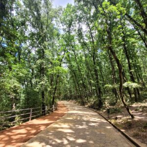 Hiking trail in Tirana Park; Tirana