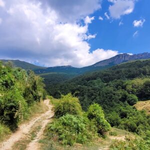 Hiking area near Vejtse
