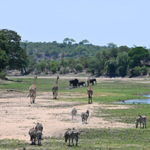 Kruger National Park