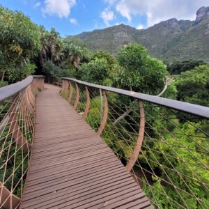 Kirstenbosch Botanical Garden; Newlands