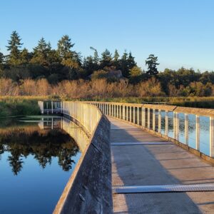 Swan Lake bridge; Saanich, BC
