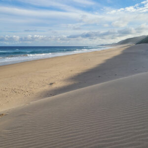 Sand dunes; Sodwana Bay