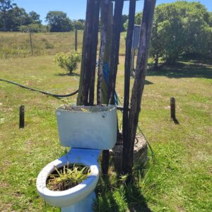 Tam Jazi Farm Stall; Alexandria
