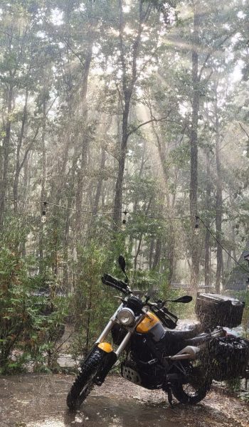 Beams of sun peaking through the trees during a rain storm; Novo Brdo, Kosovo