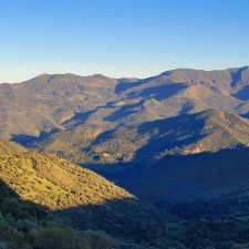 Newsletter – November 2025