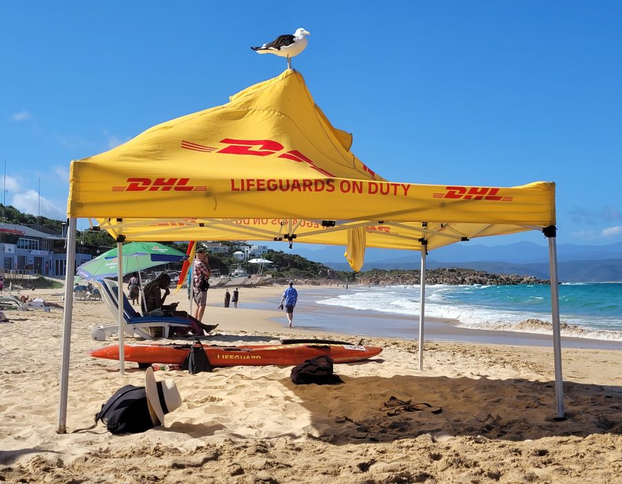 Yellow 'Lifeguard on Duty' tent with a seagull on the roof; Plettenberg Bay, South Africa