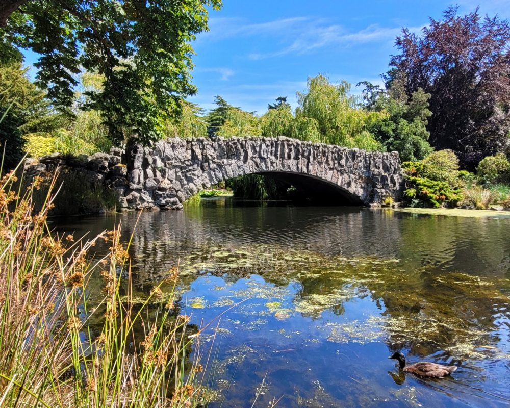 Beacon Hill Park; Victoria, BC