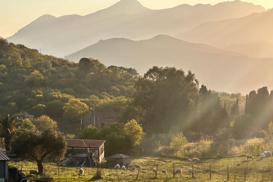 Cycling Near Pollina