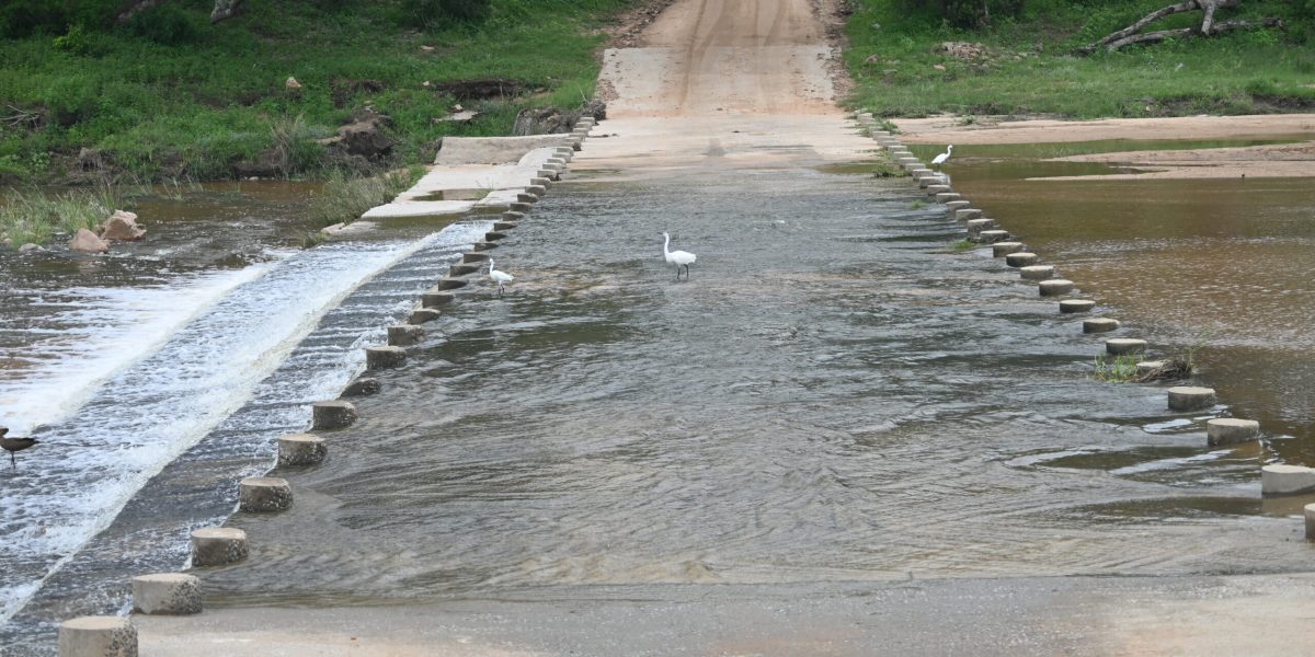 Flooded bridge at Kruger National Park; South Africa