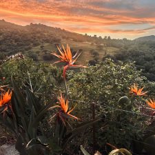 Evenings in the Countryside of Sicily