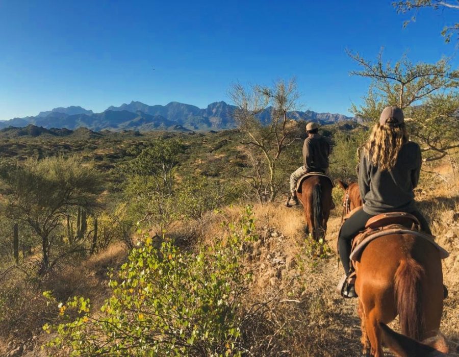 Horseback riding in the countryside near Loreto; Baja California Sur, Mexico