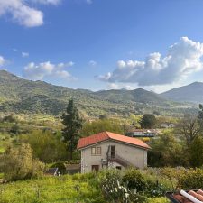 Newsletter: March 2026 – Dolce Far Niente (The Sweetness of Doing Nothing) in Sicily!