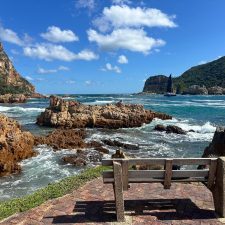 Newsletter: January 2026 – Mountains, Elephants And Books