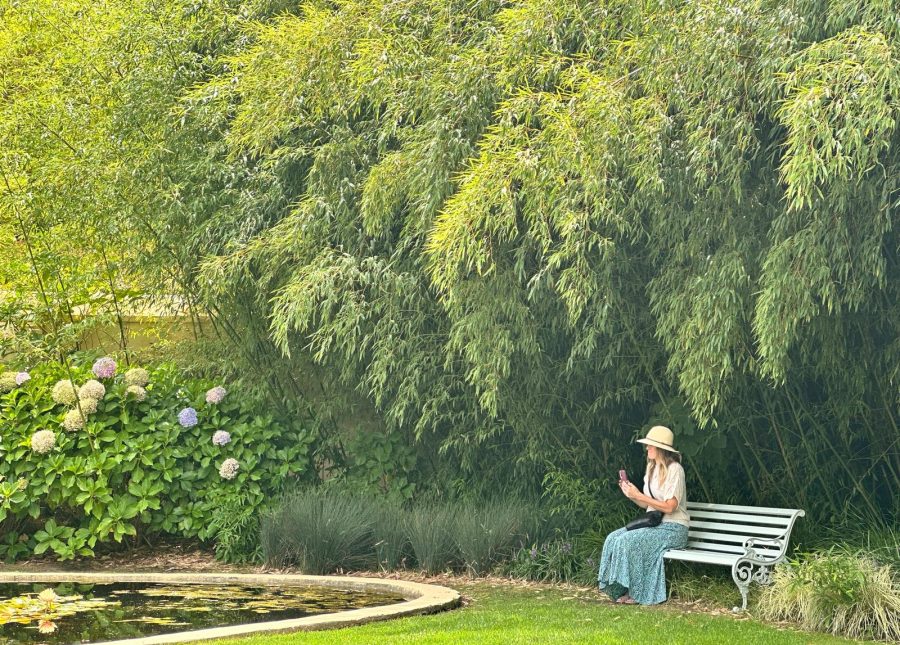 Garden at Vergelegen Wine Estate; Somerset West, South Africa