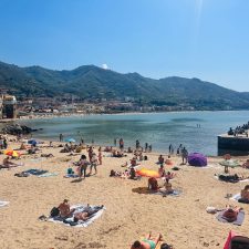 Newsletter: April 2026 – All Roads Lead to Rome…and Towards Family