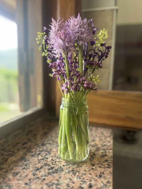 Wildflowers from our Property