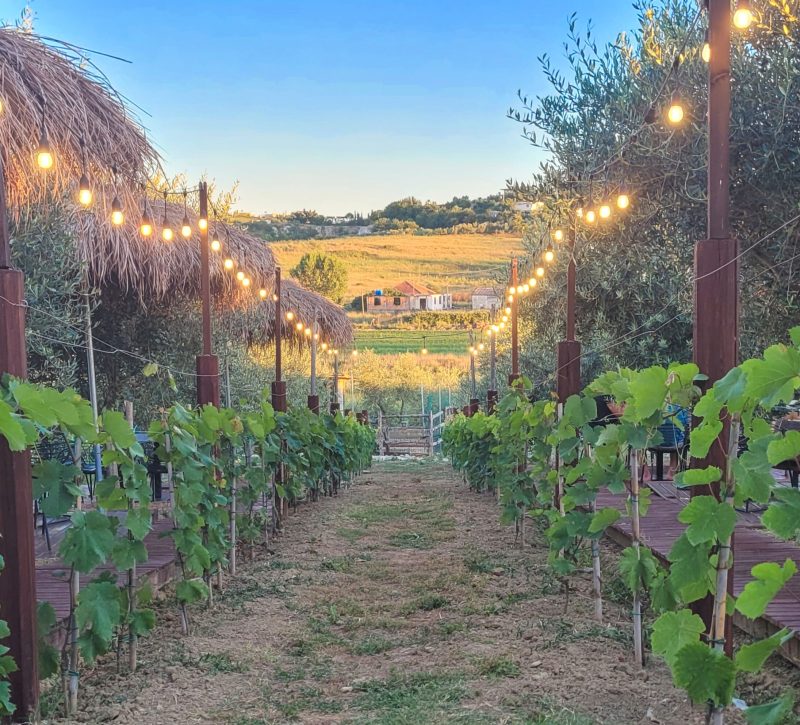 Evening glow @ Abaia Winery & Vineyard; Durres, Albania