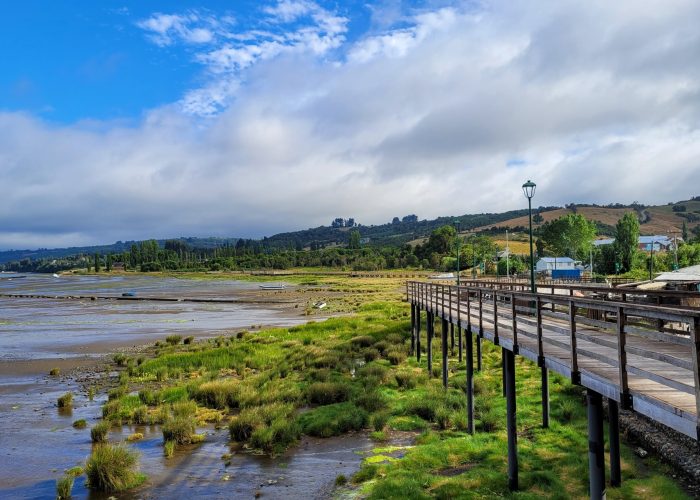 View of the lush green grass growing around the boardwalk of Humedal de Aves (bird sanctuary); Curaco de Velez, Chiloé Island (Chile)