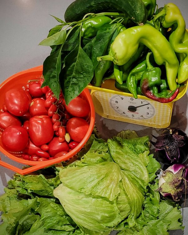 Fresh produce from the garden; Castelbuono, Sicily