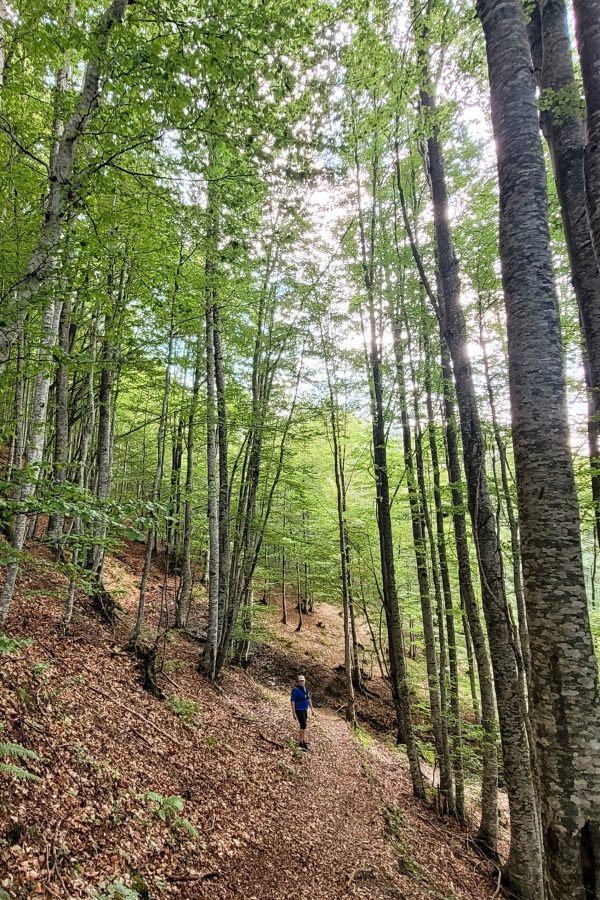 Hiking trail near Vejtse, North Macedonia