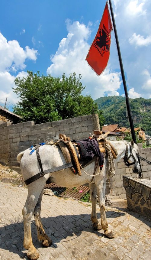 Farmer's horse used as main transportation; Vejtse, North Macedonia