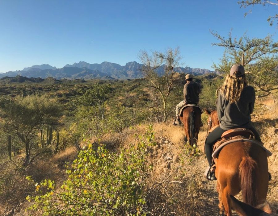 Horseback riding through the countryside; Loreto, Baja California Sur (Mexico)