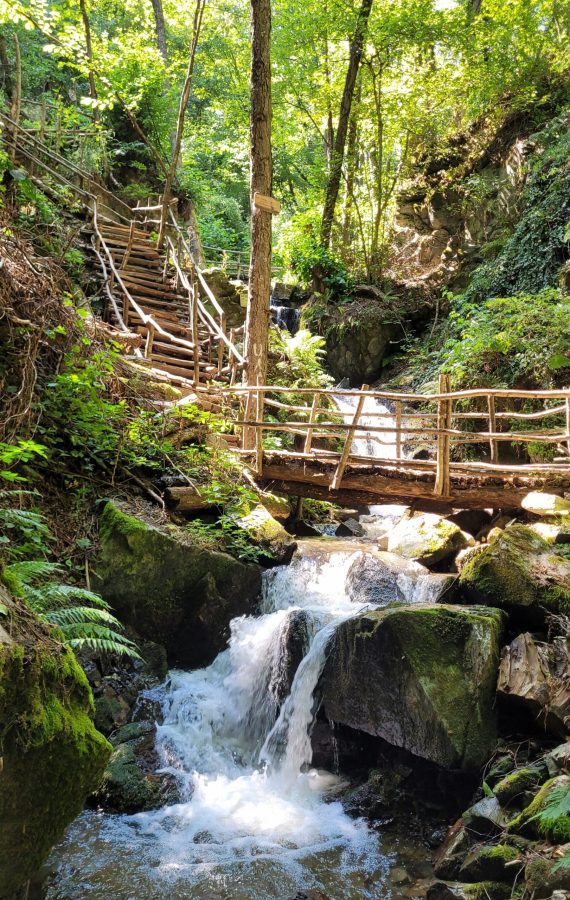 Rustic stairs @ Kamenjane Waterfall Trail, North Macedonia