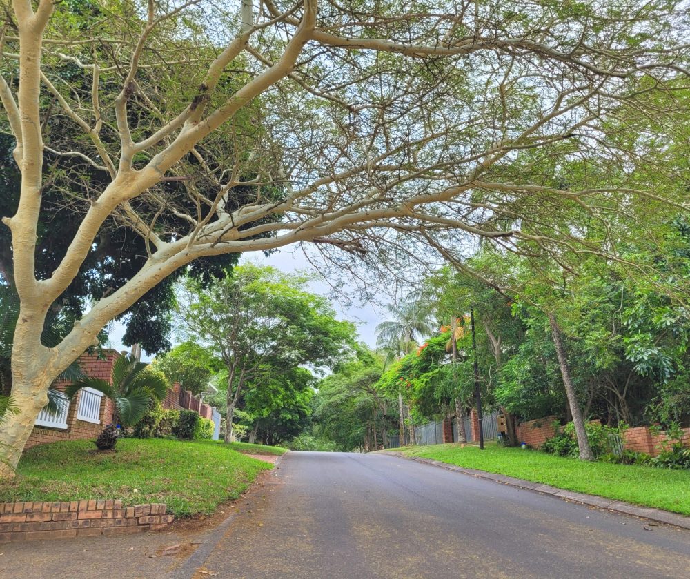 Kuda street view in St Lucia, South Africa