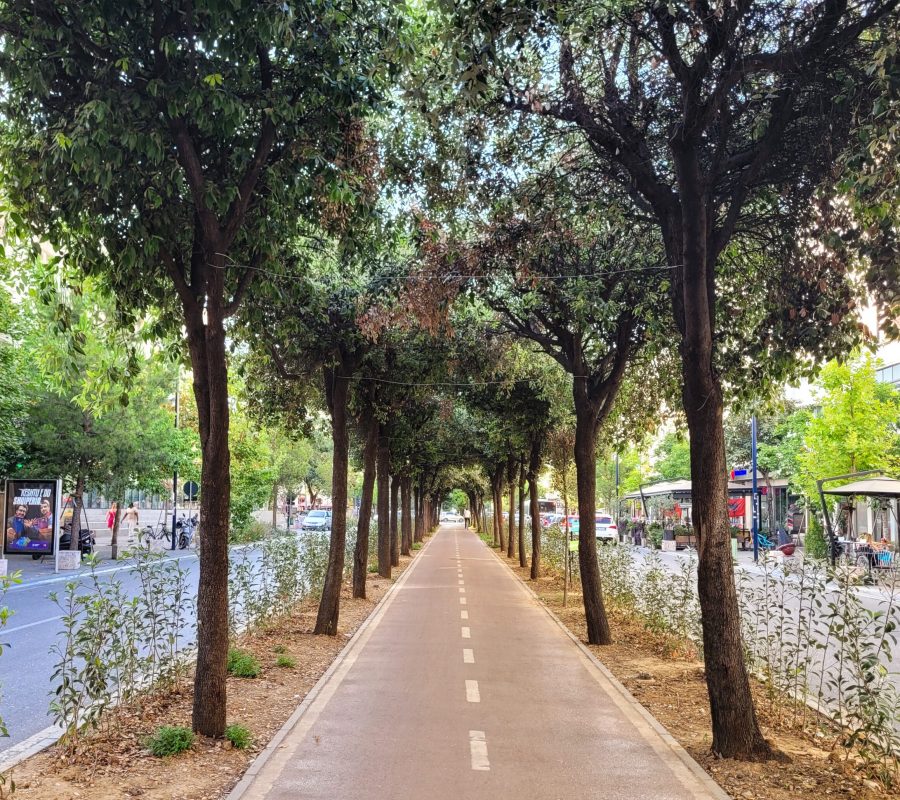 With two car lanes on each side, there's a beautiful bike lane in between them that's lined with large trees for added safety; Tirana, Albania