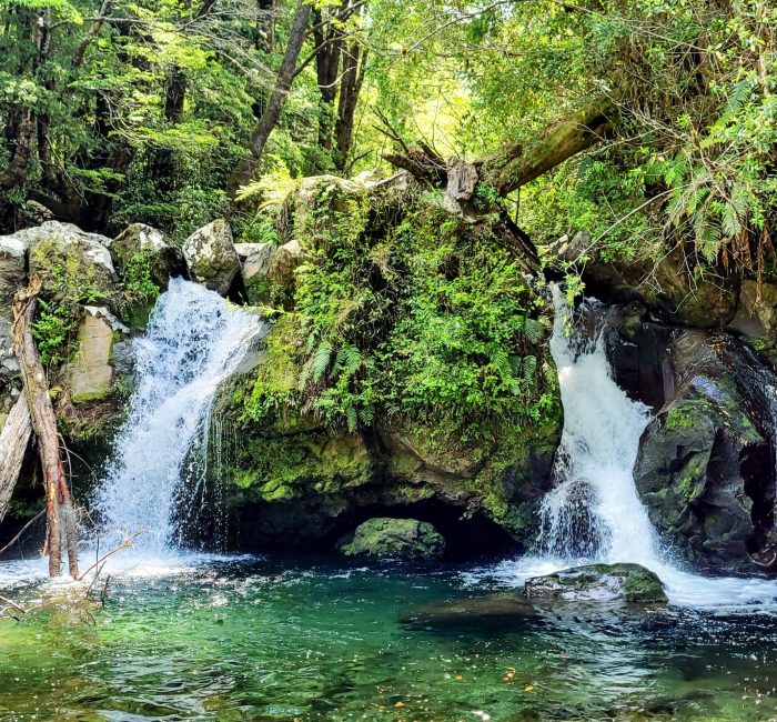 View of two waterfalls surrounded by lush greenery at Salto de Bellavista; Pucon, Chile