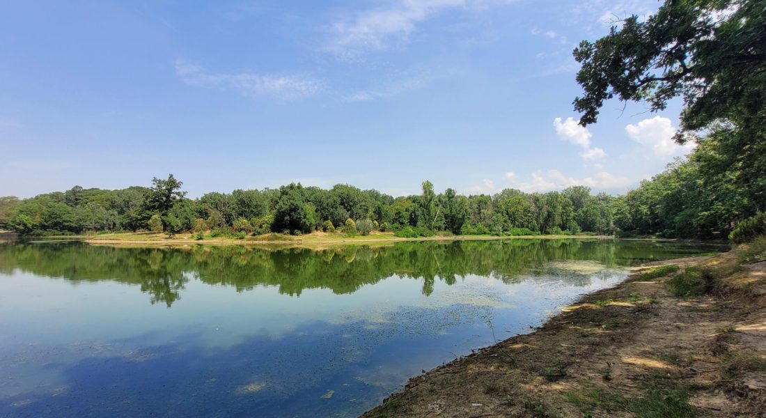 View of Tirana Lake with water smooth like glass, a mostly clear blue sky, and a lush green forest in the distance; Tirana, Albania